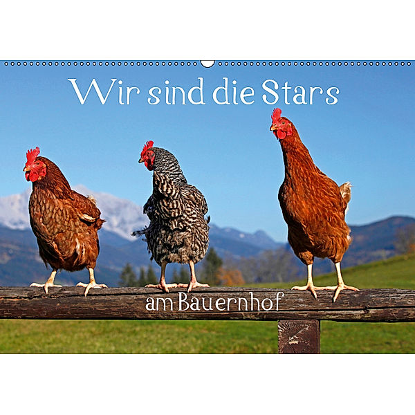 Wir sind die Stars am Bauernhof (Wandkalender 2019 DIN A2 quer), Christa Kramer