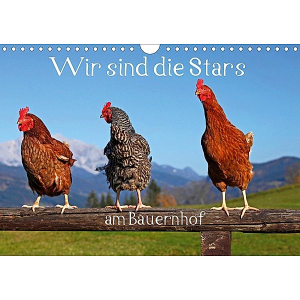 Wir sind die Stars am Bauernhof (Wandkalender 2020 DIN A4 quer), Christa Kramer