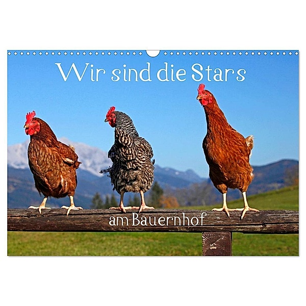 Wir sind die Stars am Bauernhof (Wandkalender 2024 DIN A3 quer), CALVENDO Monatskalender, Christa Kramer