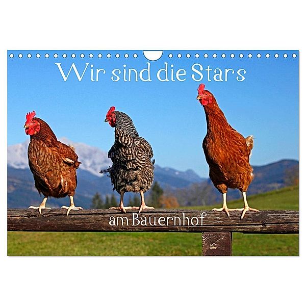 Wir sind die Stars am Bauernhof (Wandkalender 2024 DIN A4 quer), CALVENDO Monatskalender, Christa Kramer