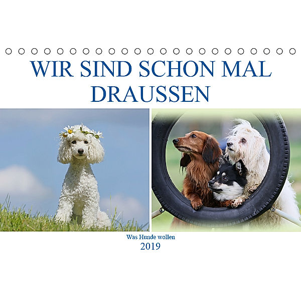 WIR SIND SCHON MAL DRAUSSEN - Was Hunde wollen (Tischkalender 2019 DIN A5 quer), Hundefotowerk Bea Müller