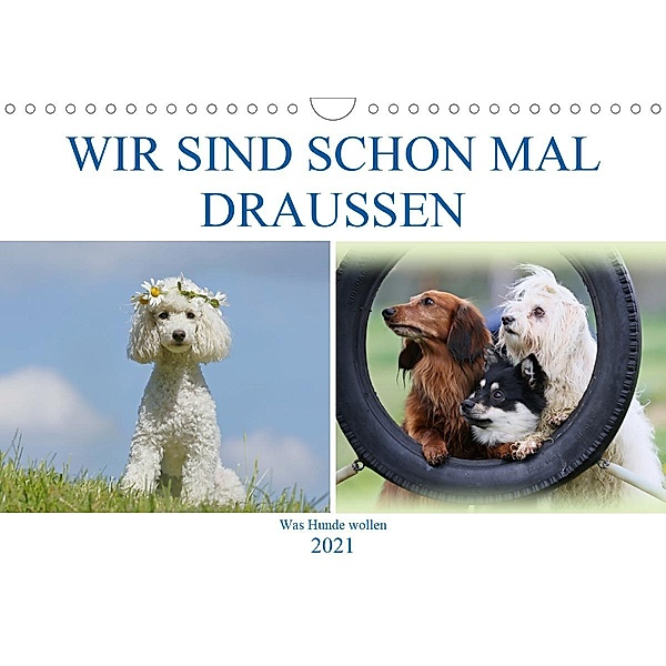 WIR SIND SCHON MAL DRAUSSEN - Was Hunde wollen (Wandkalender 2021 DIN A4 quer), Hundefotowerk Bea Müller