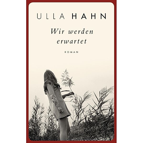 Wir werden erwartet / Hilla Palm Bd.4, Ulla Hahn