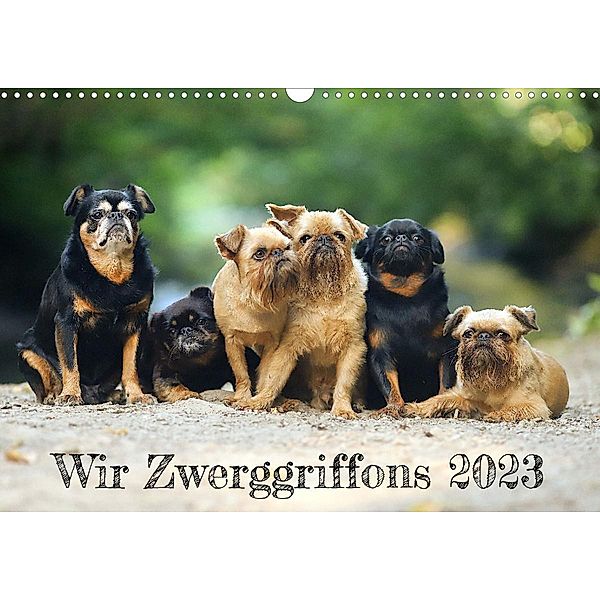 Wir Zwerggriffons 2023 (Wandkalender 2023 DIN A3 quer), Angelika Witt - Schomber