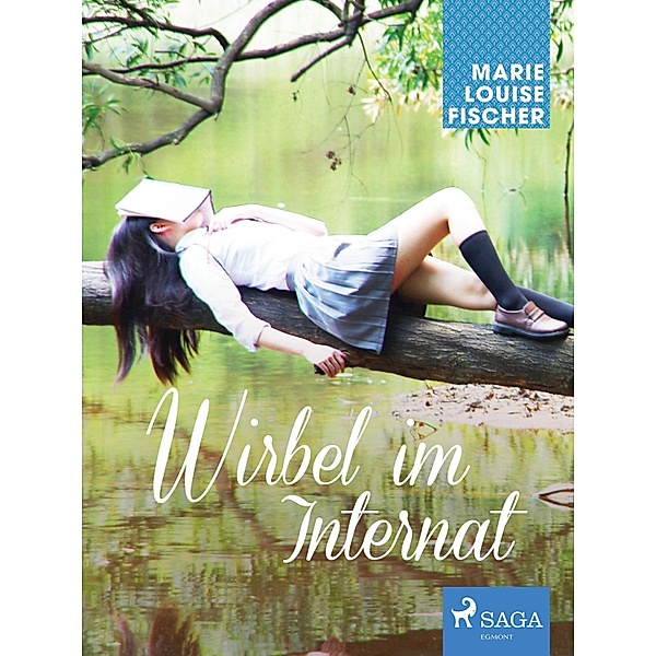 Wirbel im Internat / Internat Bd.1, MARIE LOUISE FISCHER