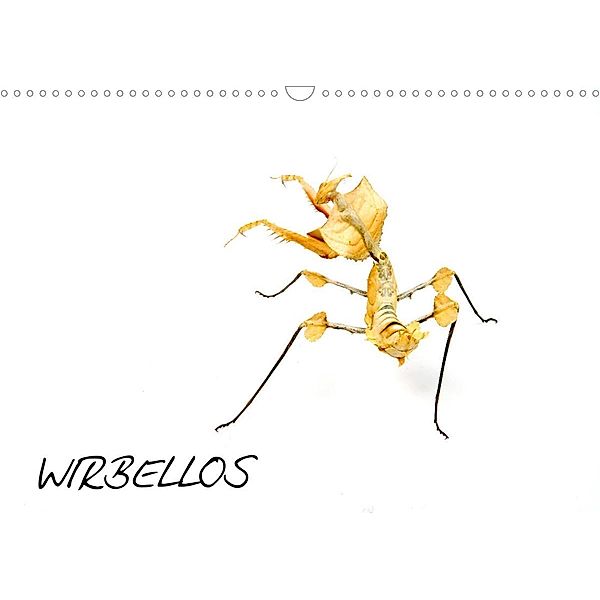 WIRBELLOS (Wandkalender 2023 DIN A3 quer), Benny Trapp