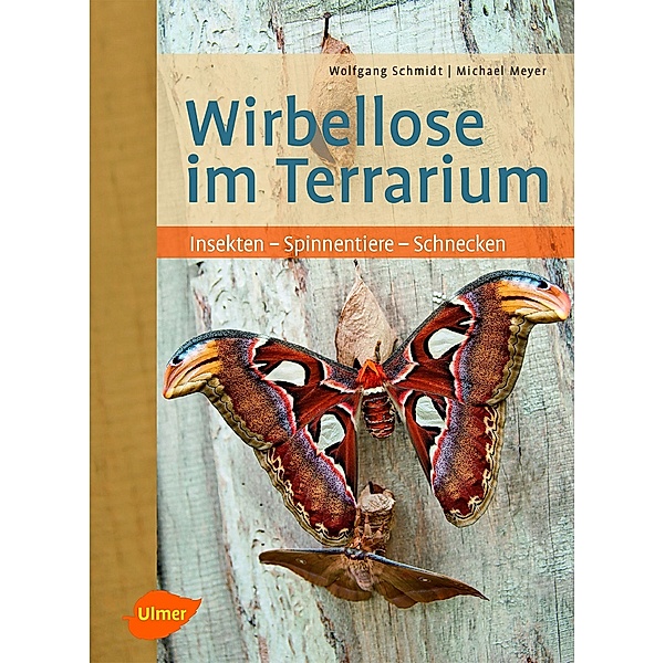 Wirbellose im Terrarium, Wolfgang Schmidt, Michael Meyer