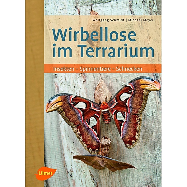 Wirbellose im Terrarium, Wolfgang Schmidt, Michael Meyer
