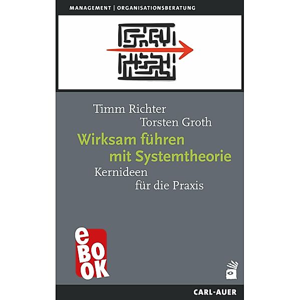 Wirksam führen mit Systemtheorie / Management, Timm Richter, Torsten Groth