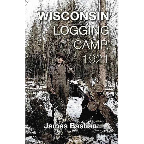 Wisconsin Logging Camp, 1921, James Bastian