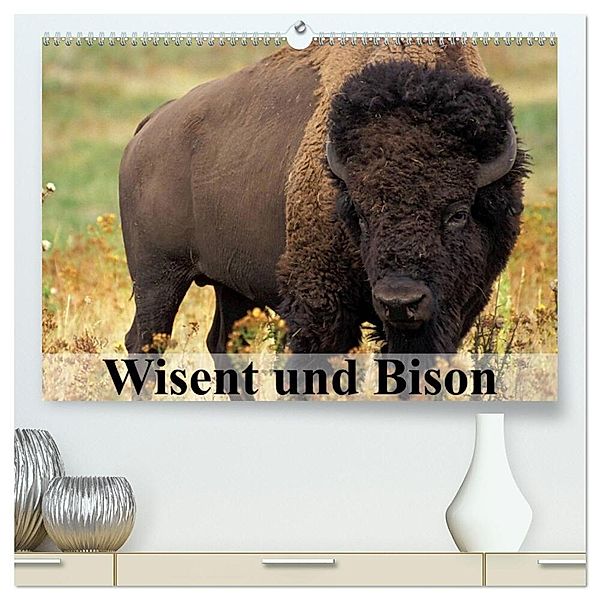 Wisent und Bison (hochwertiger Premium Wandkalender 2024 DIN A2 quer), Kunstdruck in Hochglanz, Elisabeth Stanzer