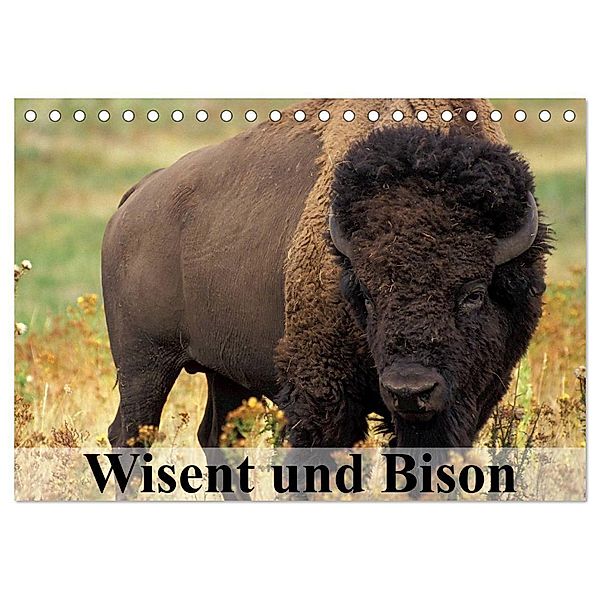 Wisent und Bison (Tischkalender 2024 DIN A5 quer), CALVENDO Monatskalender, Elisabeth Stanzer