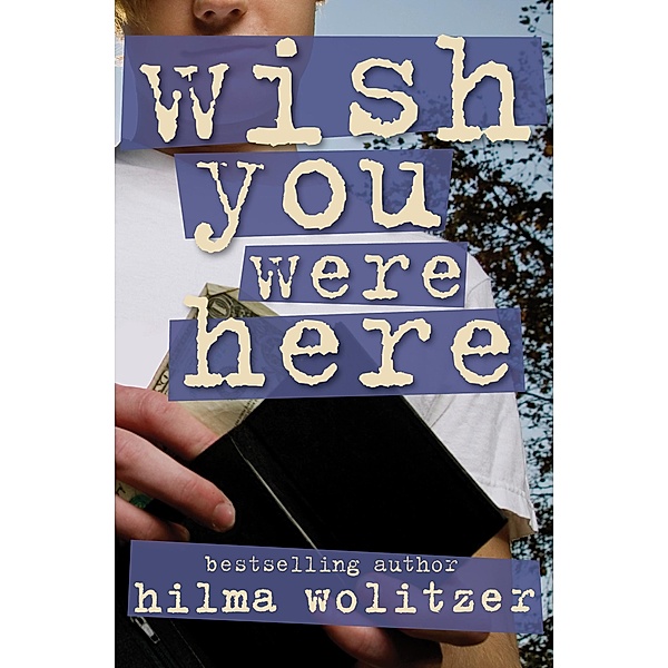 Wish You Were Here, Hilma Wolitzer
