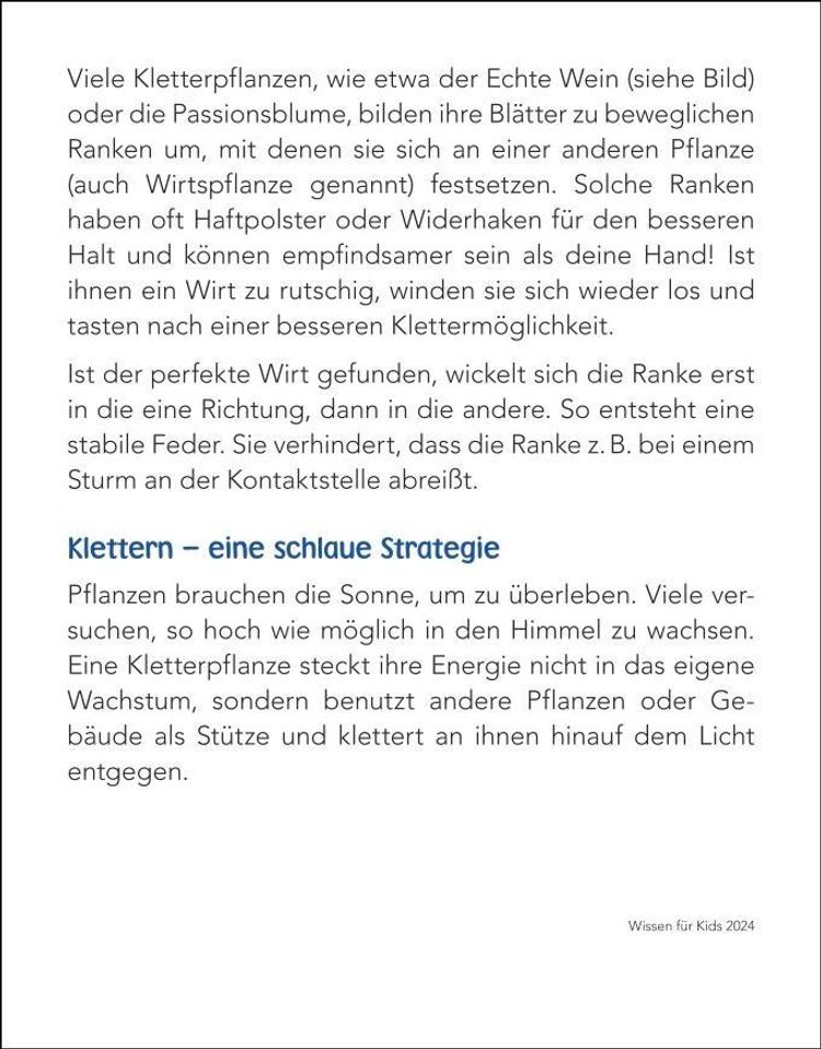 Fragen und Antworten rund ums Thema Fahrtenbuch -  (2024)