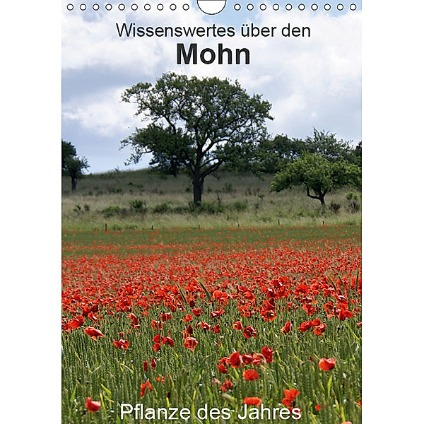 Wissenswertes über den Mohn - Pflanze des Jahres (Wandkalender 2019 DIN A4 hoch), Georg Schmitt