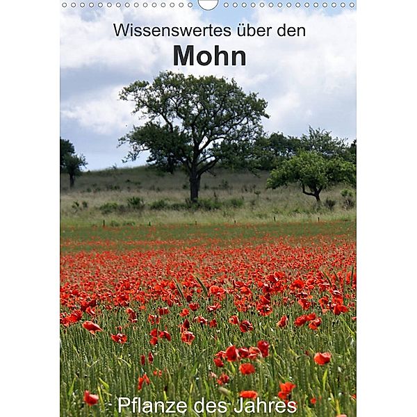 Wissenswertes über den Mohn - Pflanze des Jahres (Wandkalender 2023 DIN A3 hoch), Georg Schmitt