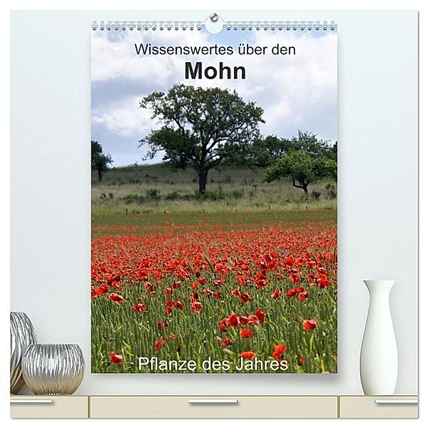 Wissenswertes über den Mohn - Pflanze des Jahres (hochwertiger Premium Wandkalender 2024 DIN A2 hoch), Kunstdruck in Hochglanz, Georg Schmitt