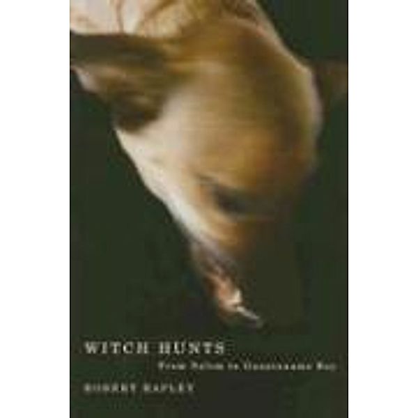 Witch Hunts: From Salem to Guantanamo Bay, Robert Rapley