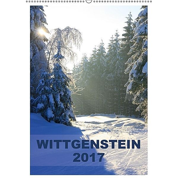 Wittgenstein / Planer (Wandkalender 2017 DIN A2 hoch), N N