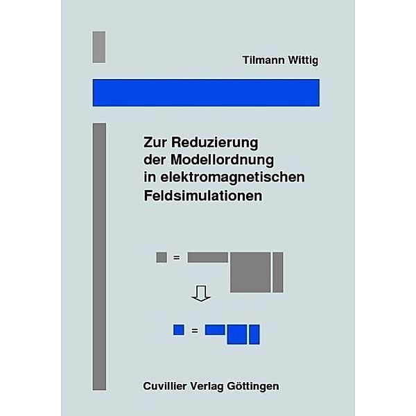 Wittig, T: Zur Reduzierung der Modellordnung in elektromagne, Tilmann Wittig