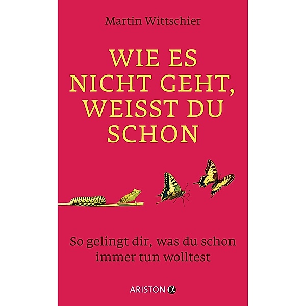 Wittschier, M: Wie es nicht geht, weißt du schon, Martin Wittschier