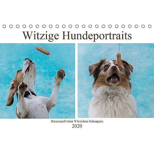 Witzige Hundeportraits - Riesenspaß beim Würstchen-Schnappen (Tischkalender 2020 DIN A5 quer), Sonja Teßen