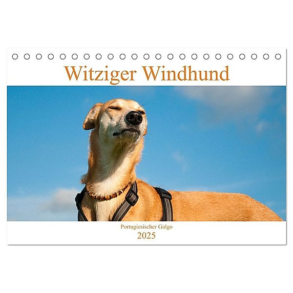 Witziger Windhund - Portugiesischer Galgo (Tischkalender 2025 DIN A5 quer), CALVENDO Monatskalender, Calvendo, Meike Bölts