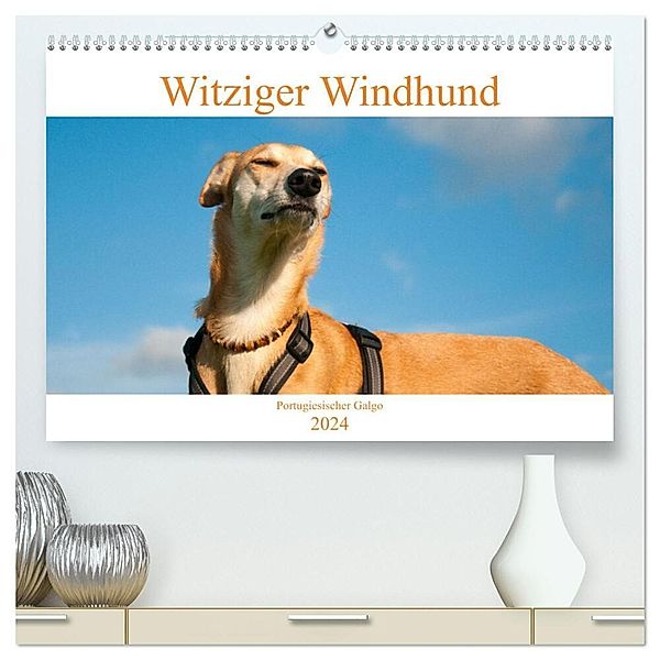 Witziger Windhund - Portugiesischer Galgo (hochwertiger Premium Wandkalender 2024 DIN A2 quer), Kunstdruck in Hochglanz, Meike Bölts