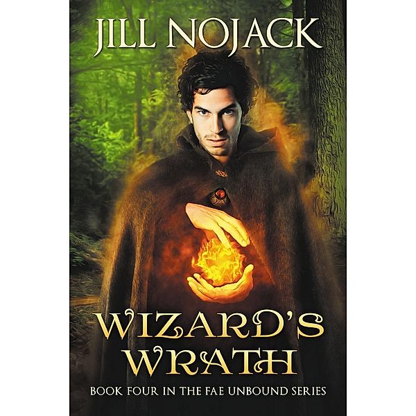 Wizard's Wrath (Fae Unbound Teen Young Adult Fantasy Series, #4) / Fae Unbound Teen Young Adult Fantasy Series, Jill Nojack