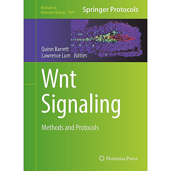 Wnt Signaling