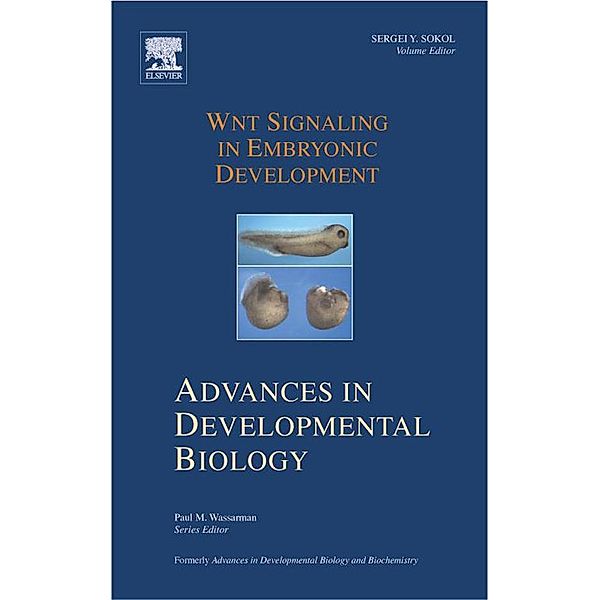 Wnt Signaling in Embryonic Development