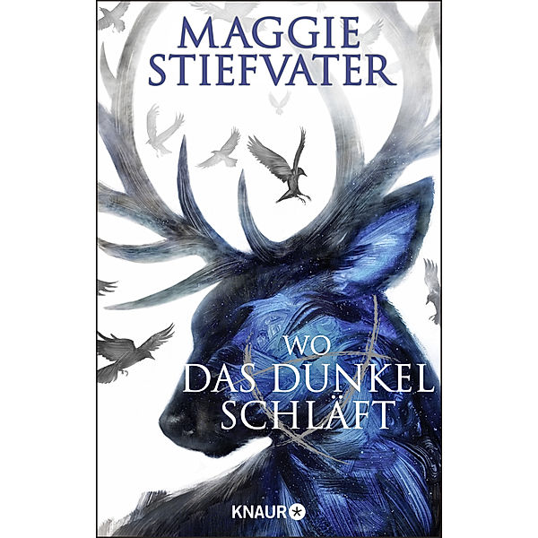 Wo das Dunkel schläft / Raven Cycle Bd.4, Maggie Stiefvater