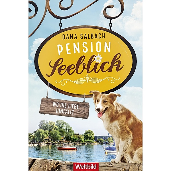 Wo die Liebe hinfällt / Pension Seeblick Bd.2, Dana Salbach