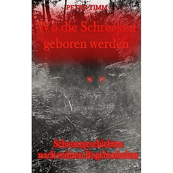 Wo die Schrecken geboren werden, Peter Timm