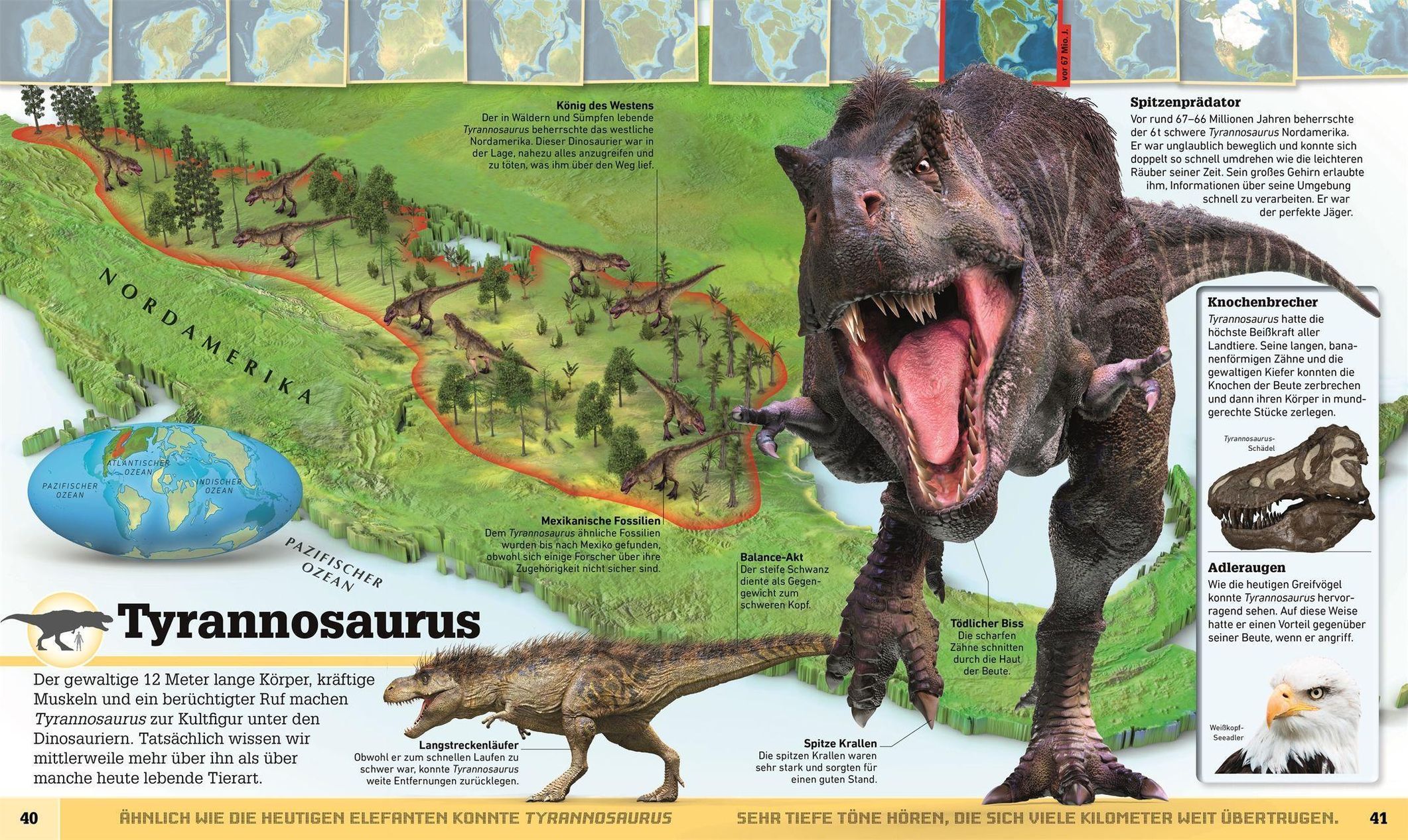 Wo in aller Welt. Dinosaurier-Atlas Buch versandkostenfrei bei Weltbild.ch  bestellen