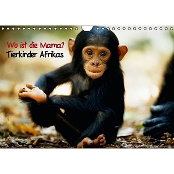 Wo ist die Mama? Tierkinder Afrikas (Wandkalender 2014 DIN A4 quer), CALVENDO