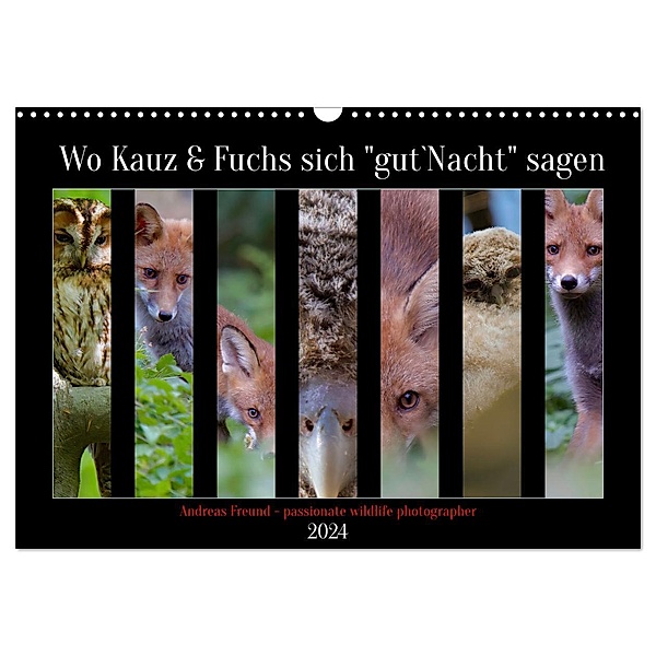 Wo Kauz & Fuchs sich gut`Nacht sagen (Wandkalender 2024 DIN A3 quer), CALVENDO Monatskalender, Calvendo