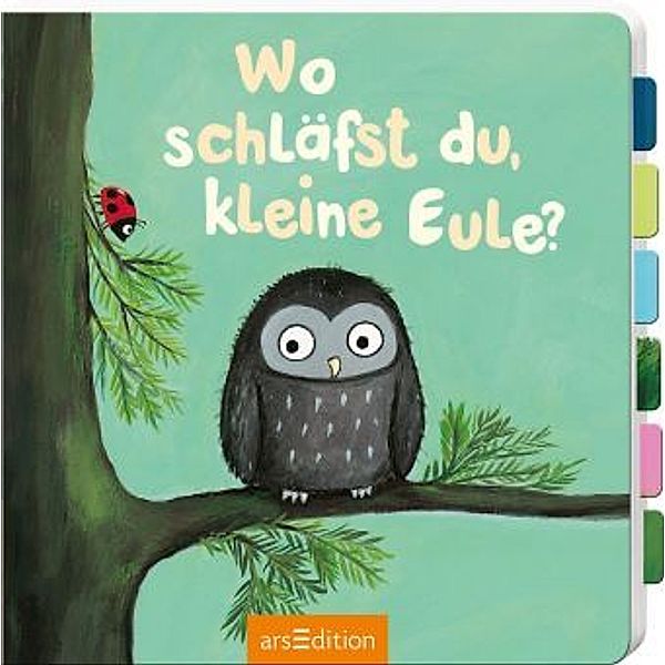 Wo schläfst du, kleine Eule?, Heike Vogel