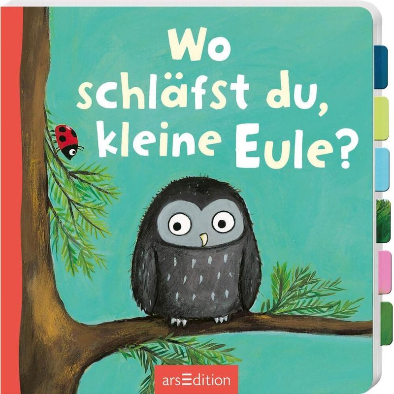 Image of Wo Schläfst Du, Kleine Eule?, Pappband