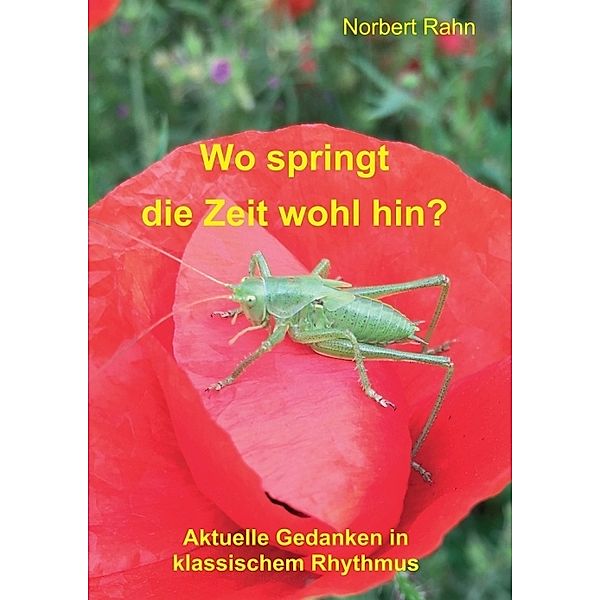 Wo springt die Zeit wohl hin?, Norbert Rahn