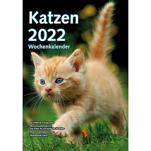 Wochenkalender Katzen 2022