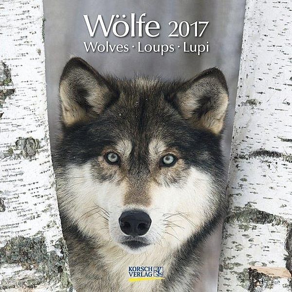 Wölfe 2017