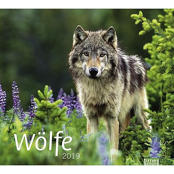 Wölfe 2019