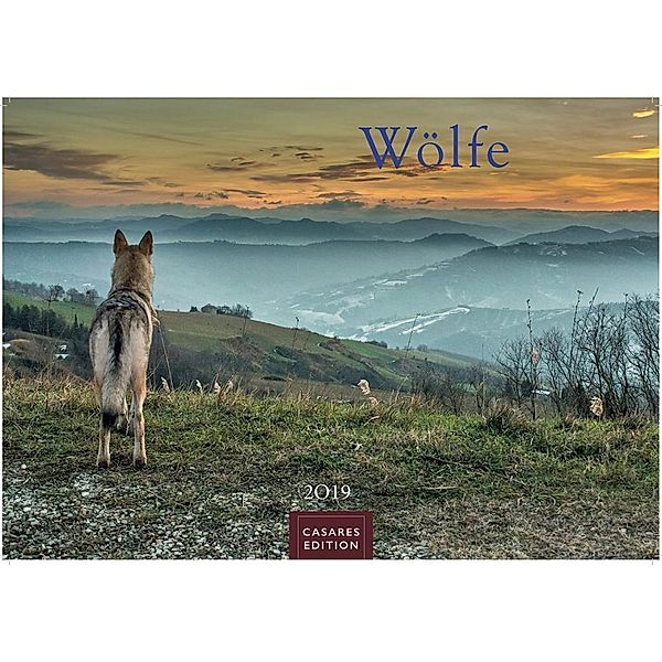 Wölfe 2019