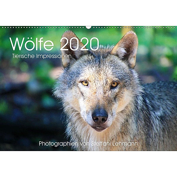 Wölfe 2020. Tierische Impressionen (Wandkalender 2020 DIN A2 quer), Steffani Lehmann