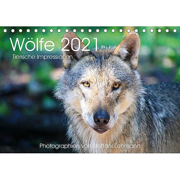Wölfe 2021. Tierische Impressionen (Tischkalender 2021 DIN A5 quer), Steffani Lehmann