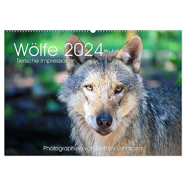 Wölfe 2024. Tierische Impressionen (Wandkalender 2024 DIN A2 quer), CALVENDO Monatskalender, Steffani Lehmann