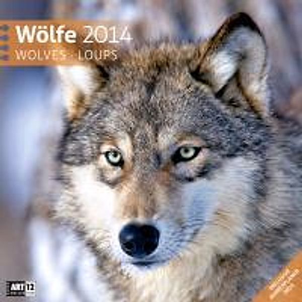 Wölfe, Broschürenkalender 2014