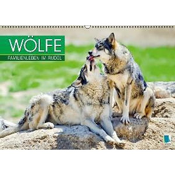 Wölfe: Familienleben im Rudel (Wandkalender 2016 DIN A2 quer), Calvendo