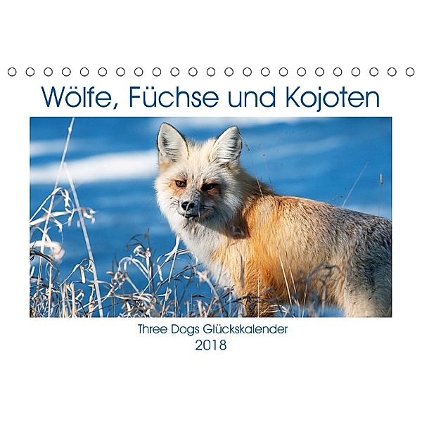 Wölfe, Füchse und Kojoten (Tischkalender 2018 DIN A5 quer), Jana Malin
